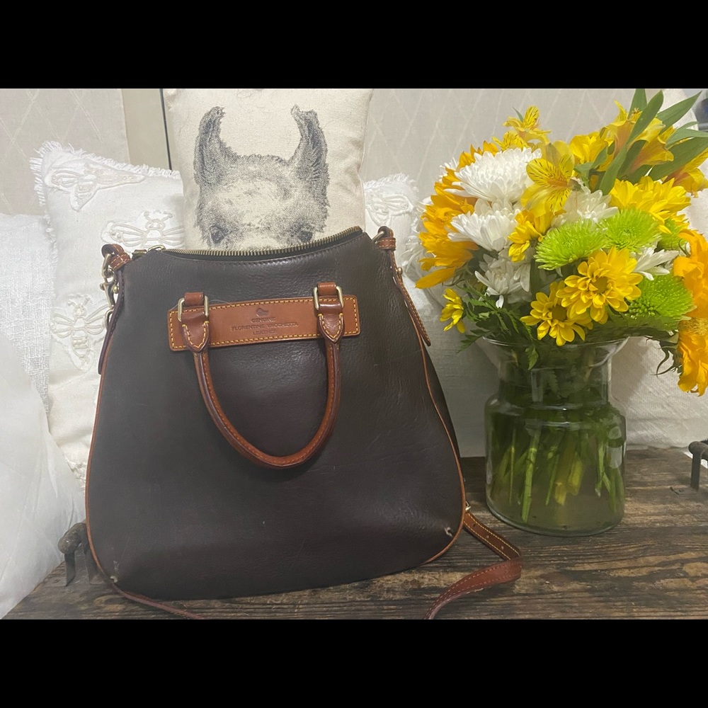 Dooney and Bourke chocolate brown side bag